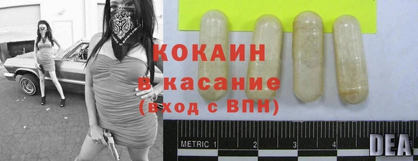 дживик Костерёво