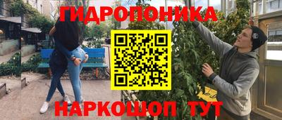 не бодяженный Кингисепп