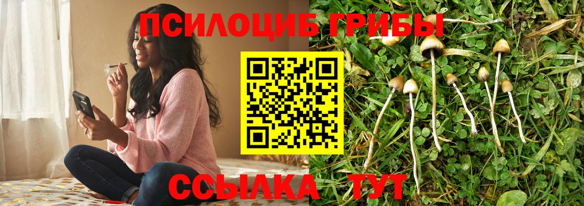 Псилоцибиновые грибы Magic Shrooms Салават
